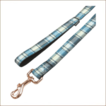 Laisse Edinburgh Bleu 120x25 mm