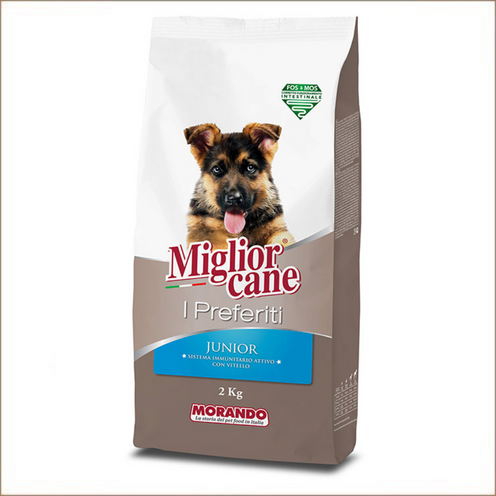 rose - 2023-02-09T154849.851