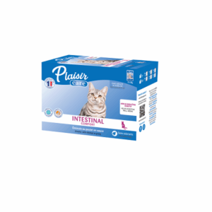 PACK CARE INTESTINAL COMFORT 12X85G