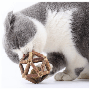 CATNIP BALL Jouet Pour Chat