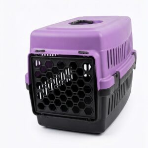 BOX DE TRANSPORT VIOLET CASUAL T1