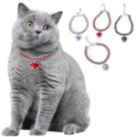 Collier Diamant pour Chat