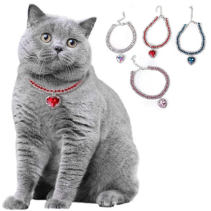 Collier Diamant pour Chat
