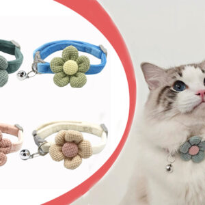 colliers pour chat avec clochettes et fleurs