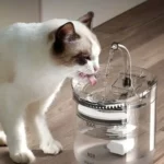 FONTAINE D'EAU 1.8L