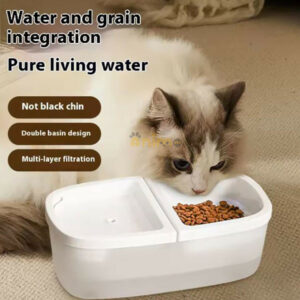 Fontaine et Distributeur 2 en 1 pour Chat et Chien