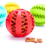 Balle à Friandises Dental Pour Chien