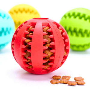 Balle à Friandises Dental Pour Chien